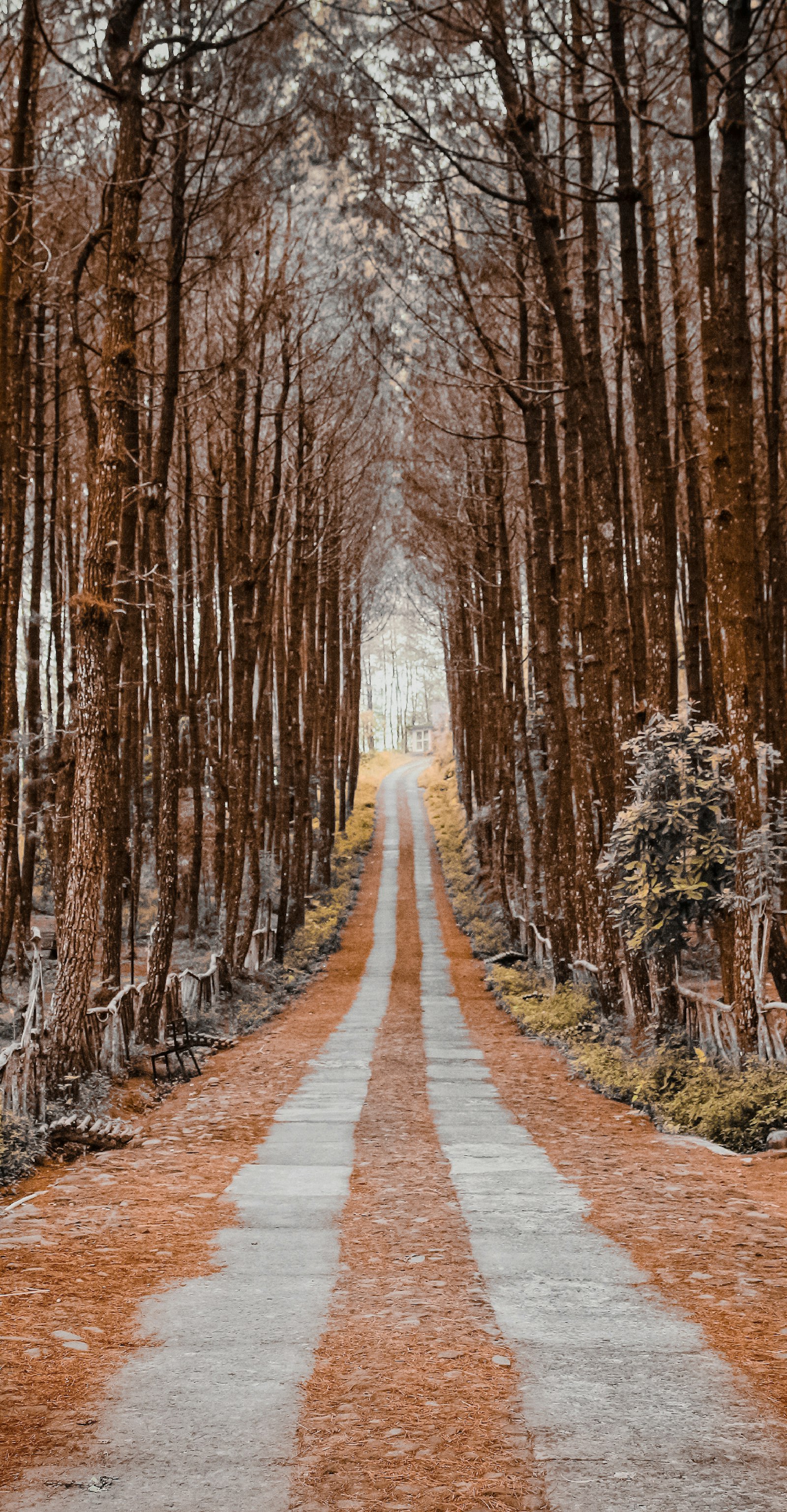 Barcelona Wine Bar New Haven Spanish tapas Temple Street