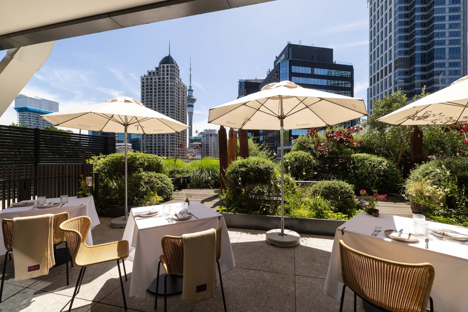 A midday business lunch table in Auckland's CBD with the harbour beyond